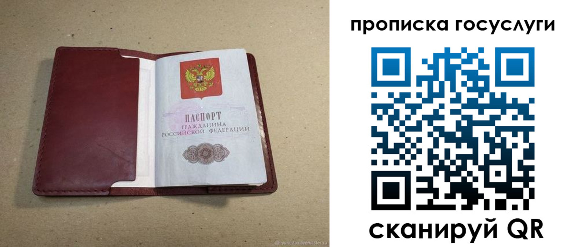 прописка поиск в Новгородской области
